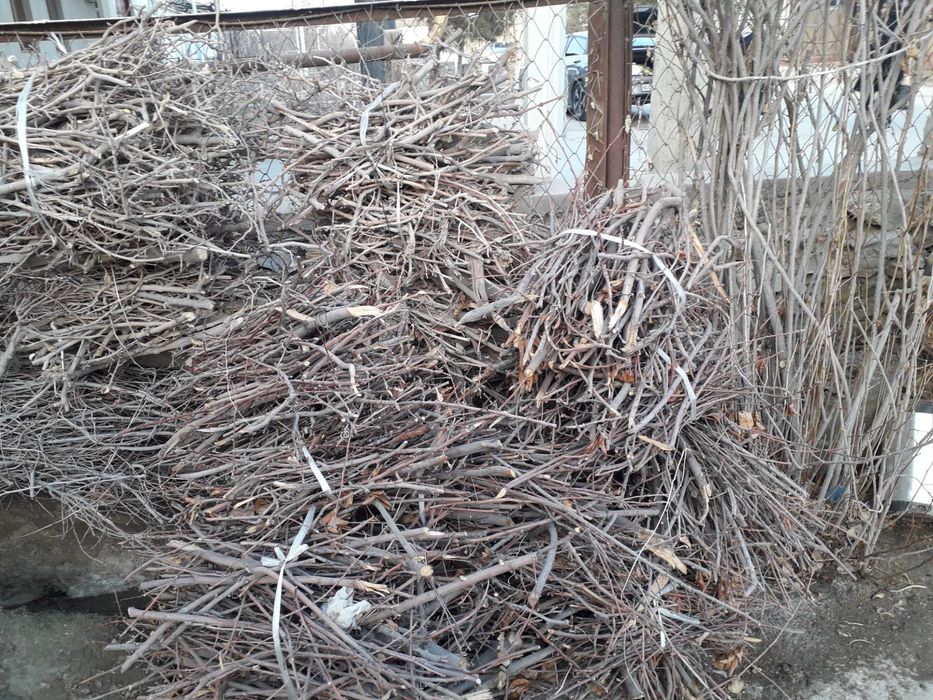 Катта ва майда утин сотилади