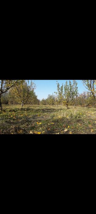 Продаётся дом, яблоневый сад, фазенда!!