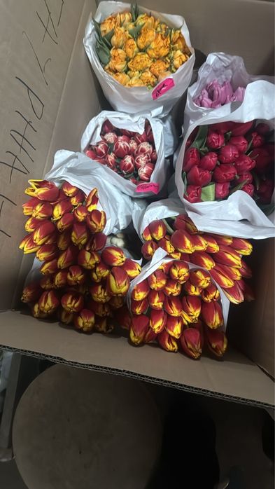 Продаю тюльпаны по 350 тенге