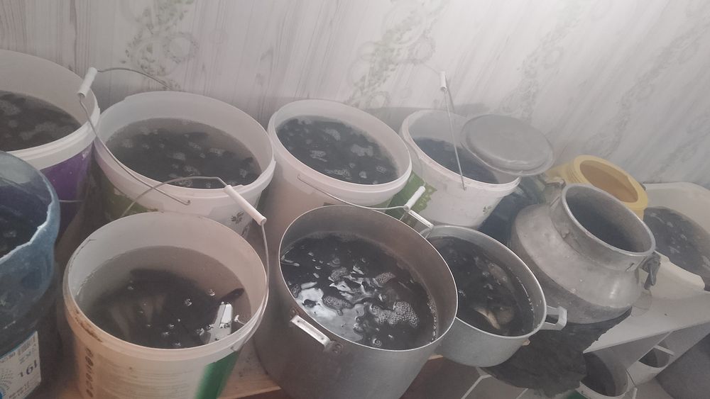 Живец Малёк караси