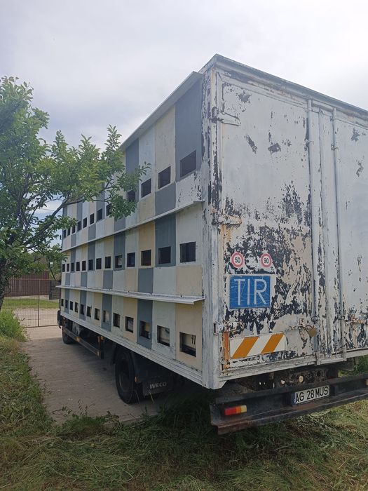 Stupină, Pavilion apicol omologat Iveco Euro Cargo