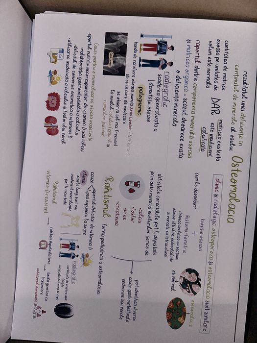 Flashcarduri Smartysh- Set Triade 1, 2, 3A si 3B + CADOU planse Logia