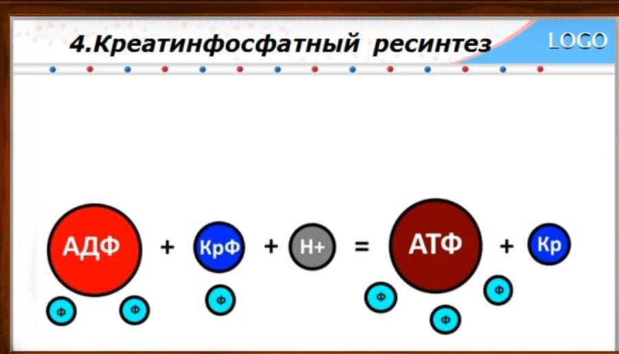 Курс „фитнес инструктор“