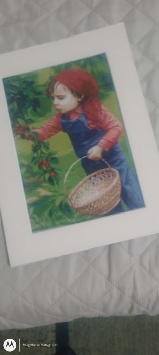 goblen,micul cireșar