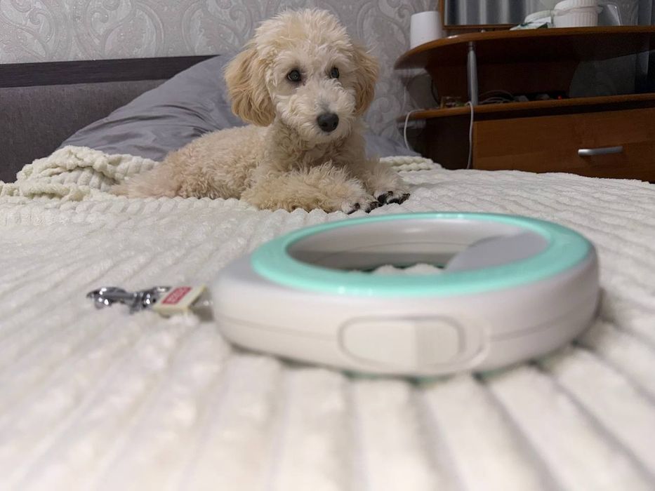 Рулетка для собаки WAU DOG