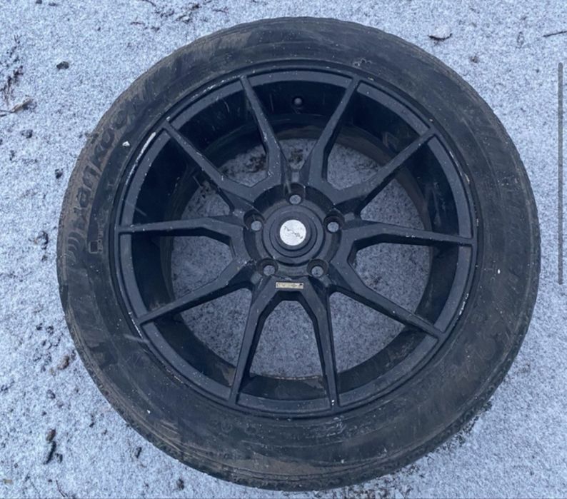 Дика хорошый состояения