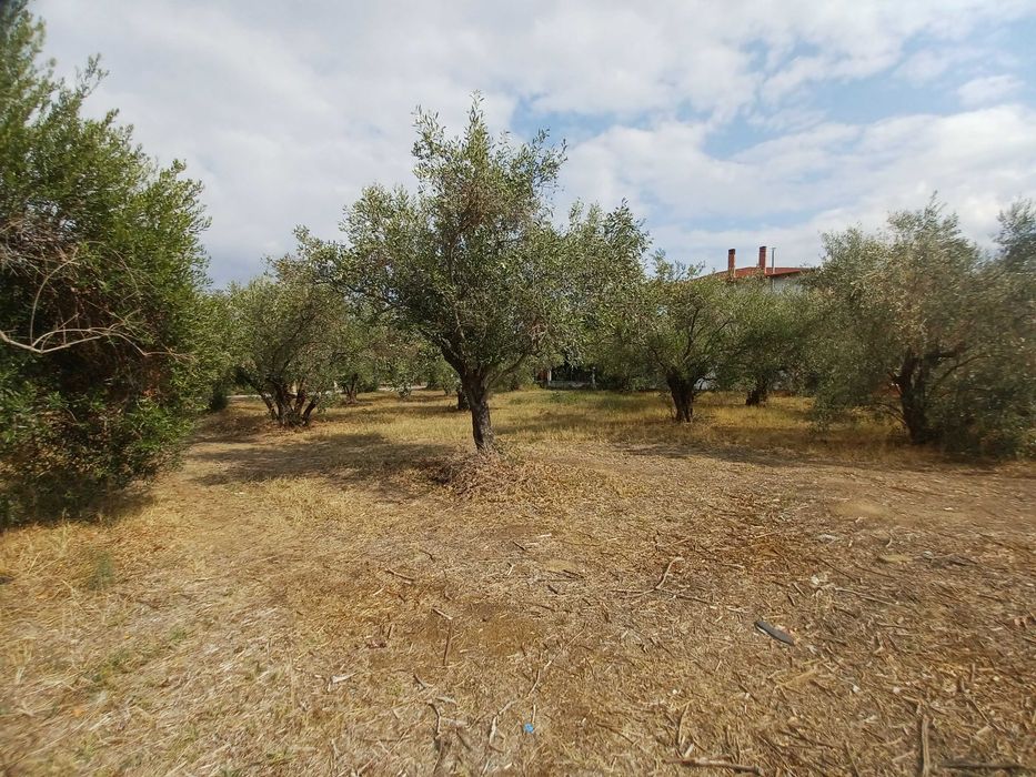 Продава парцел с площ 1380 м2 в регулация в Паралия Врасна, Гърция