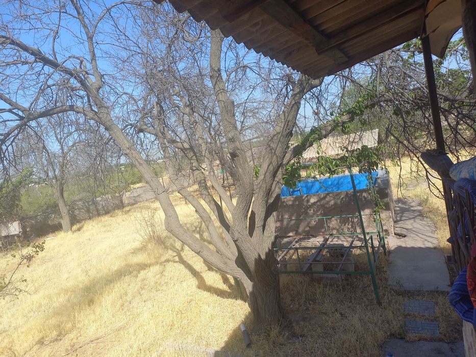 Dacha sotiladi naryini kelishamiz