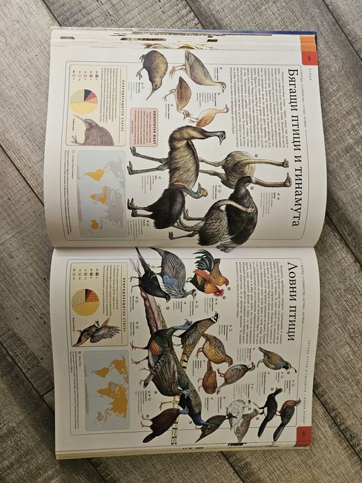 Детска Енциклопедия ЖИВОТНИТЕ National Geographic