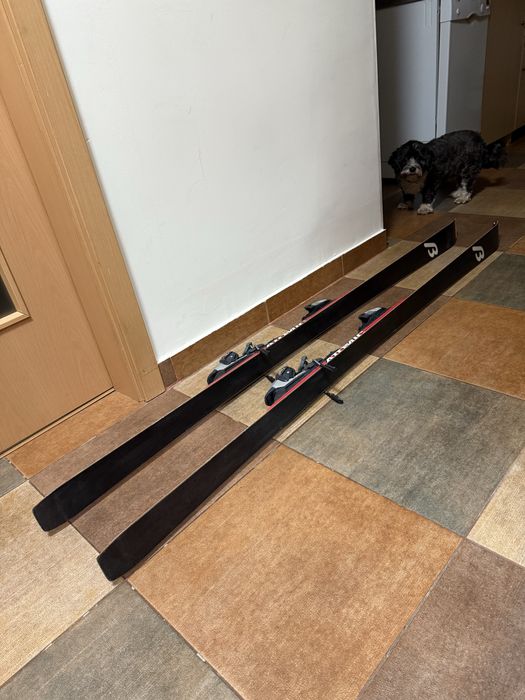 Schiuri Atomic Beta Carv