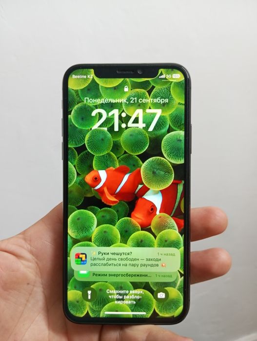 iPhone X  Читай описание