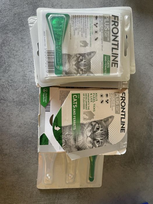 Фронтлайн плюс за котка