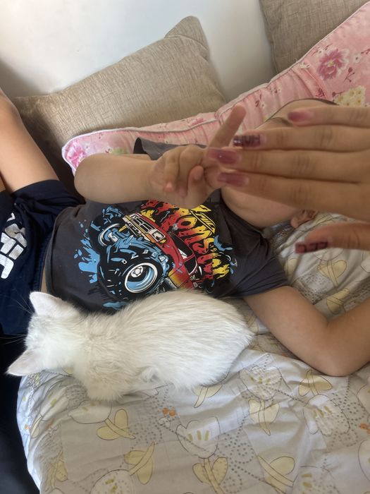 А там даром хорошие добрые руки