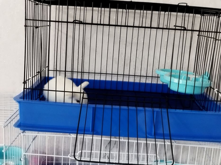 Клетки для кроликов итд