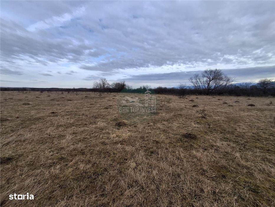 Teren intravilan 679mp zona Arhitectilor - Aerodrom