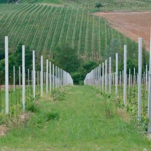 Пасынка,  столб бетонный,  Қада