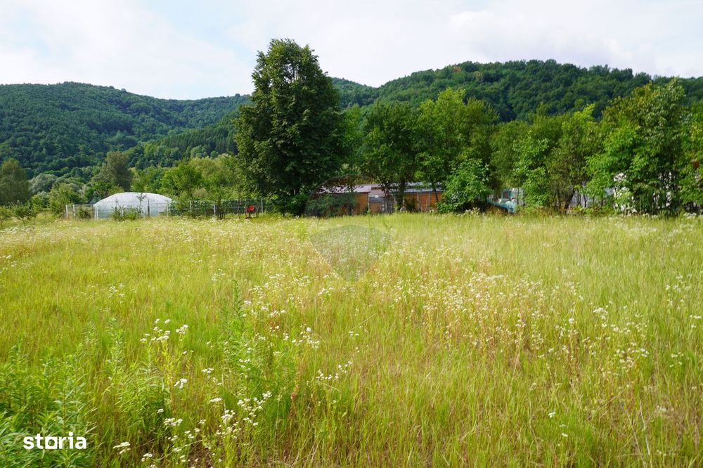 Teren 2785 mp, Central – Lângă Grădina Morii