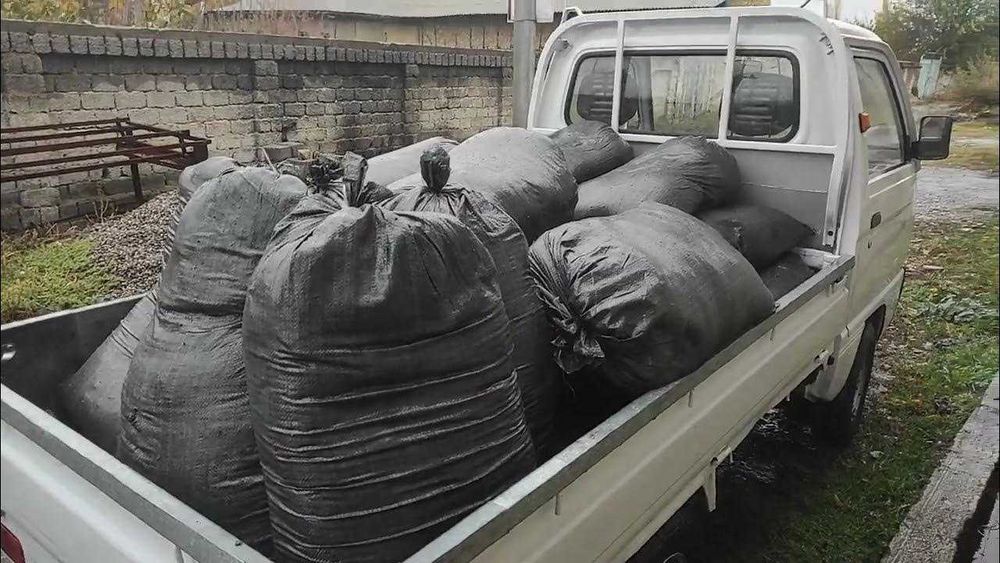 BIYOGOMUS va CHuvalchanglar