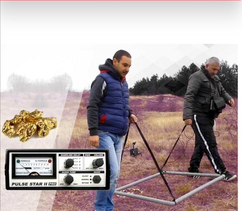 Detector de Aur și Metale