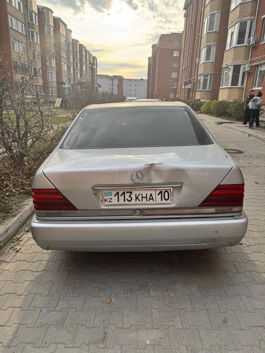 Продам кабана тогр