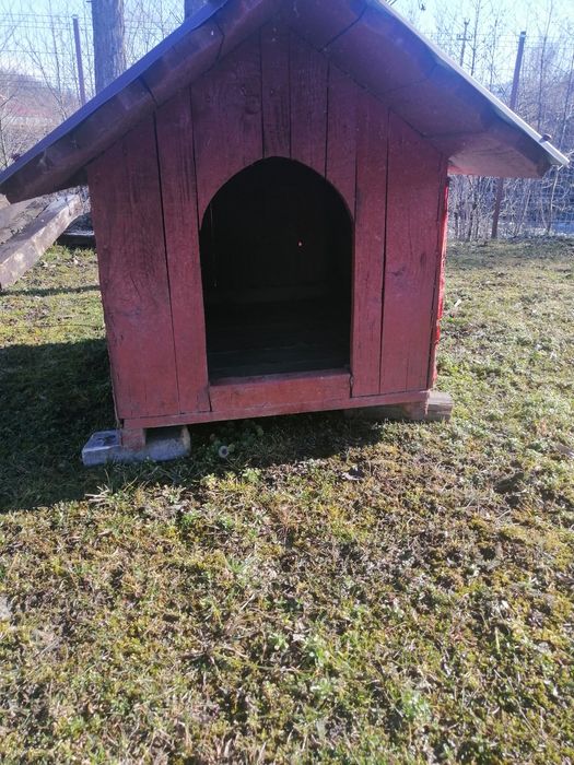 Cușcă căine, stare bună.