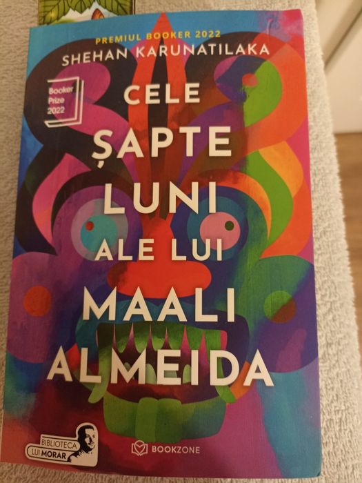 Carte cele șapte luni ale lui maali almeida