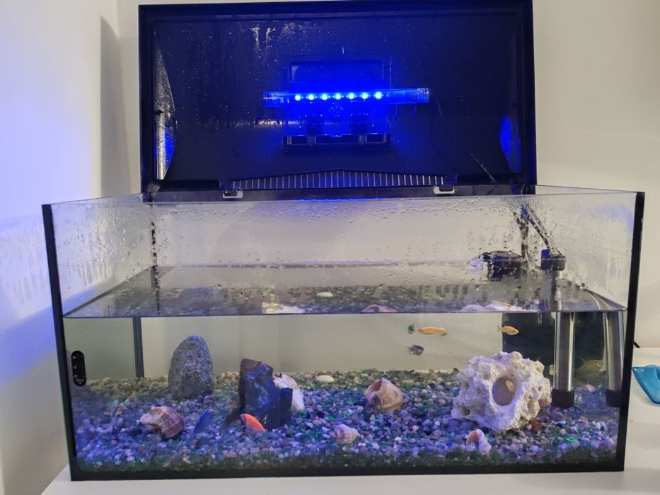 Acvariu 60l, Aquael