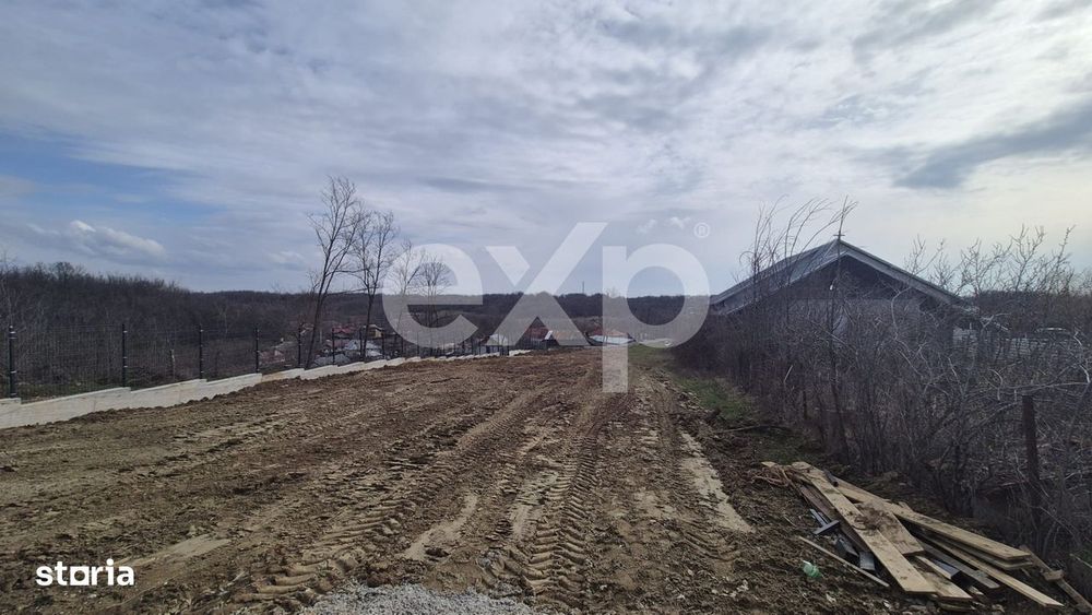 Teren 1.500 mp langa padure, Albota – liniste, natura si potential d