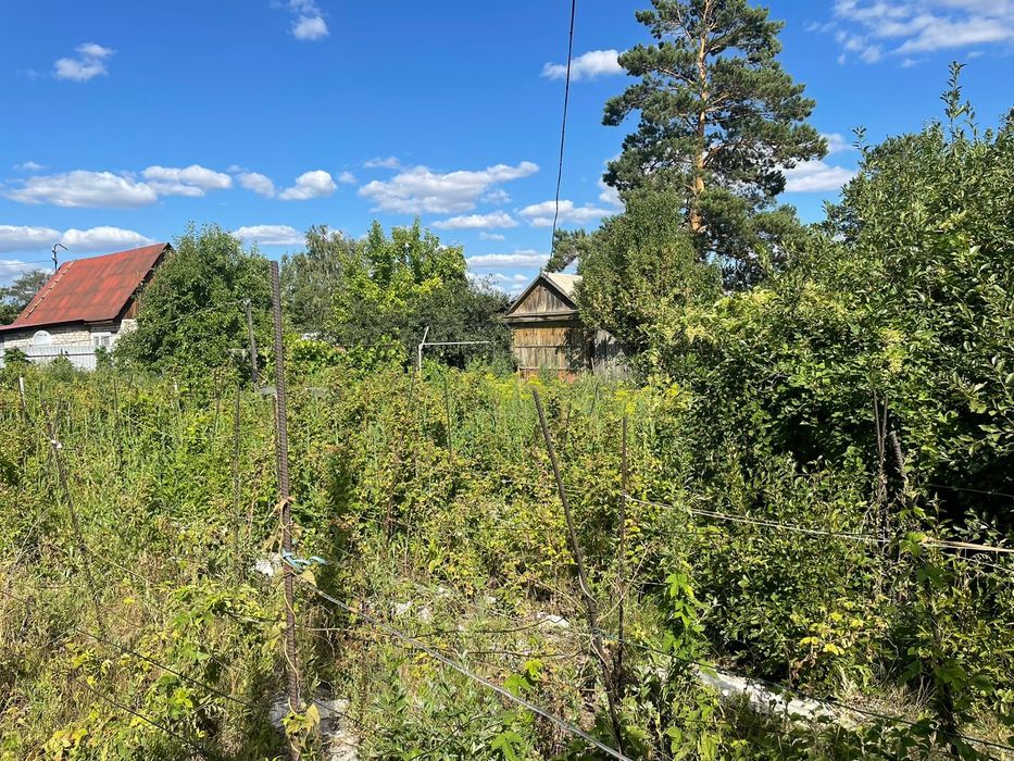 Продам дачу, недорога