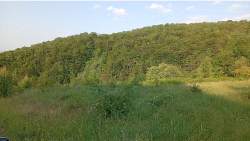 VÂNZARE TEREN 34.500 mp – Câțcău, jud. Cluj – CF: 50417