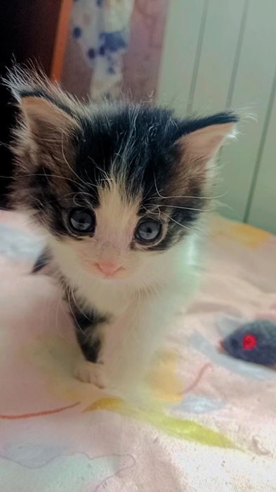 Малышка по имени Зайка