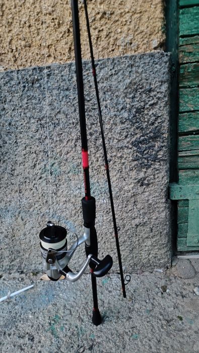 Въдица Dolphin carbon