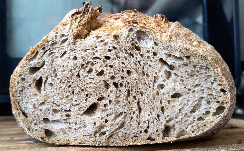 3 feluri Maia sălbatică pentru pâine Italia 2020 și pasta madre rețetă