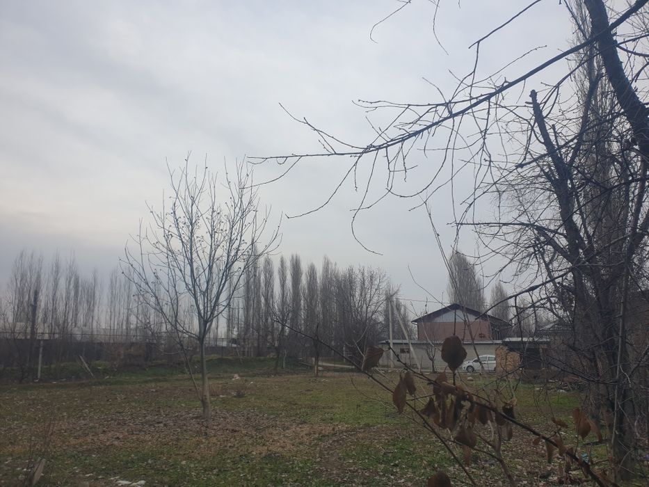 Ер сотилади Янгибозорда 10 соток