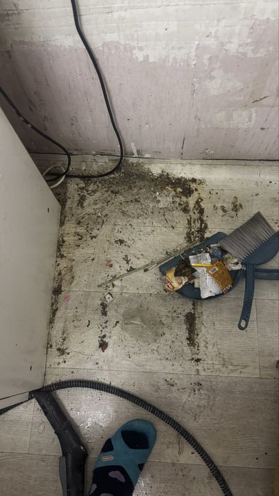 Уборка жасаймыз! Төмен бағада!