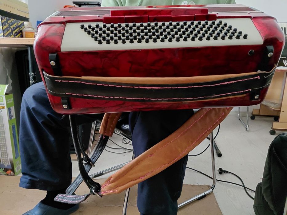 Vand Acordeon Parrot gama profesionala