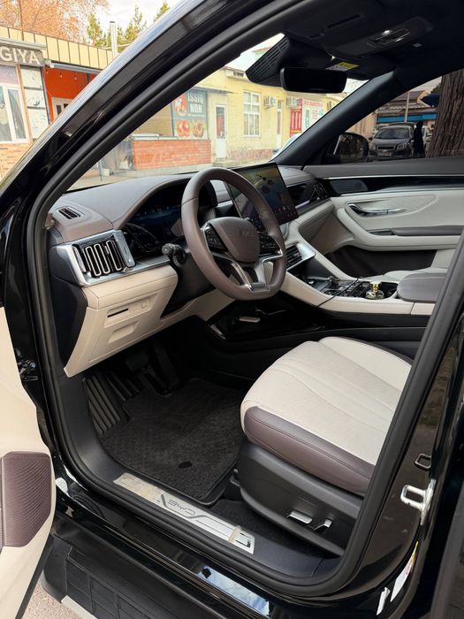 BYD Champion 605км full 2025