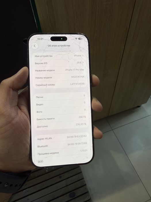 17 max 256 blue dual sim