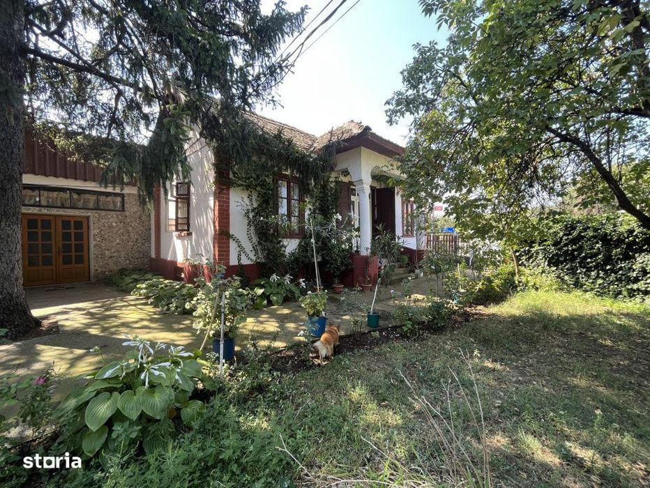 Popas La Doi Brazi - magazine, bar, terasa, casa boiereasca, gradina s
