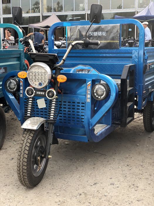 Электромуравей Электрмото Трицикл