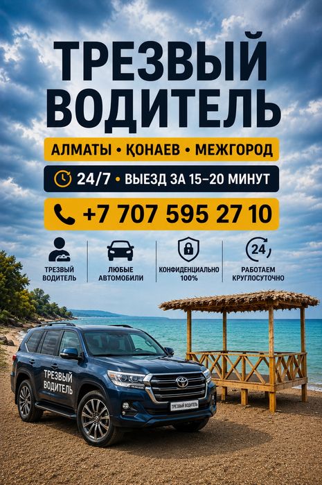 Трезвый Водитель