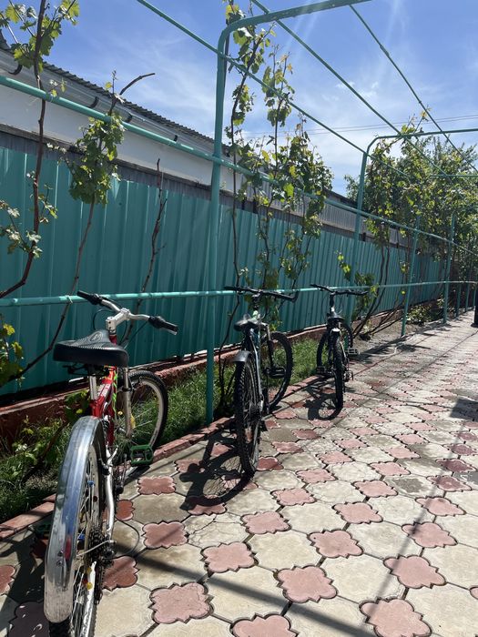 3 велика спортивные