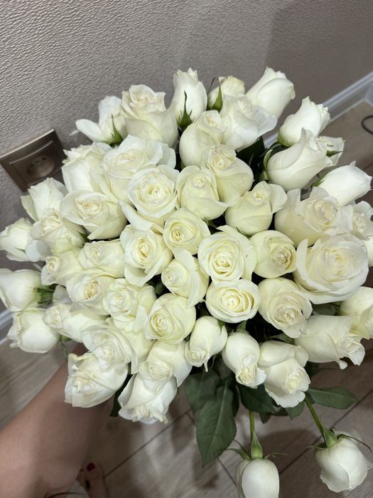 51 роза. Белые свежие