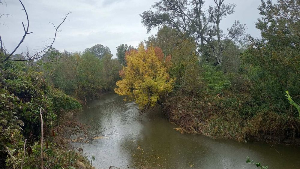 Продава се Земеделски имот в Бургас, Пристанище Бургас -  кв.м за 8 €/дка - Снимка #1