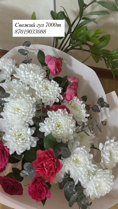 Сегодняшние цветы