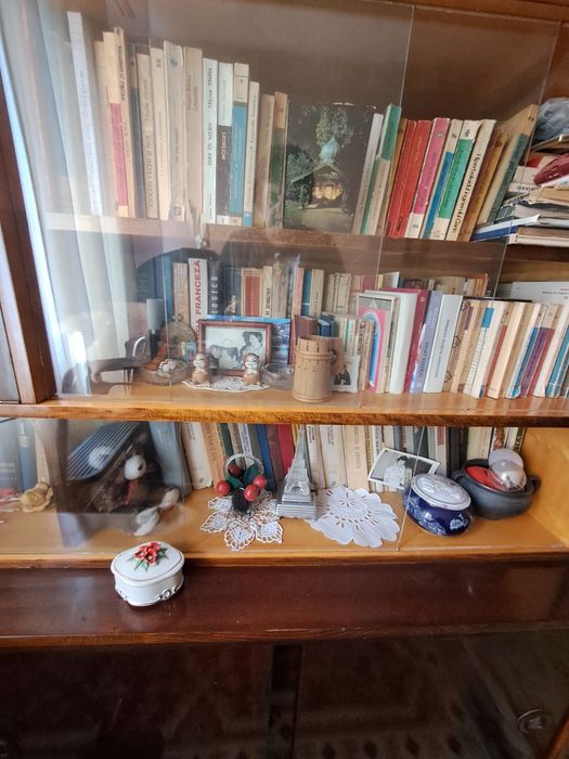 Vând biblioteca cu cărți bune