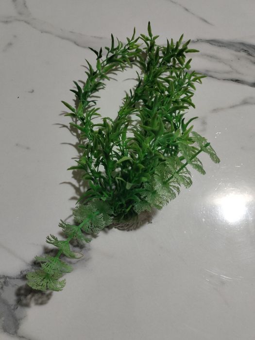 Akvarium uchun aksesuarlar sotiladi