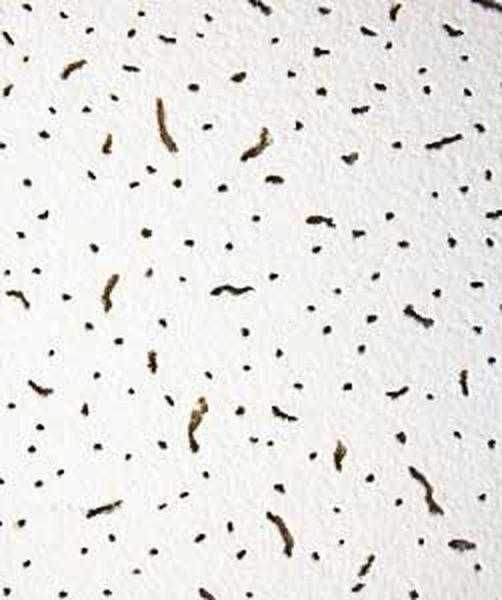 Подвесной потолок Армстронг