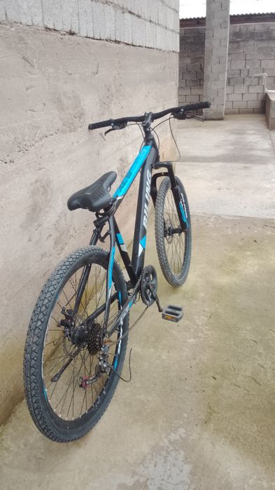 Belling, көк кара