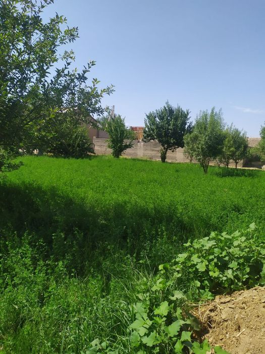 Yer sotiladi 18 sotok